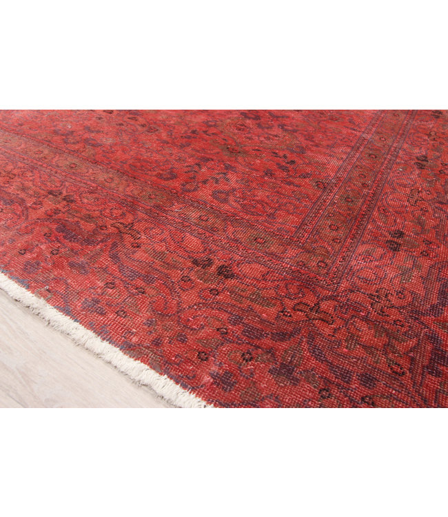 Rozek Rug 290x198 cm