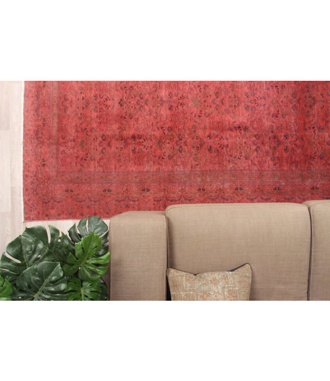 Rozek Rug 290x198 cm