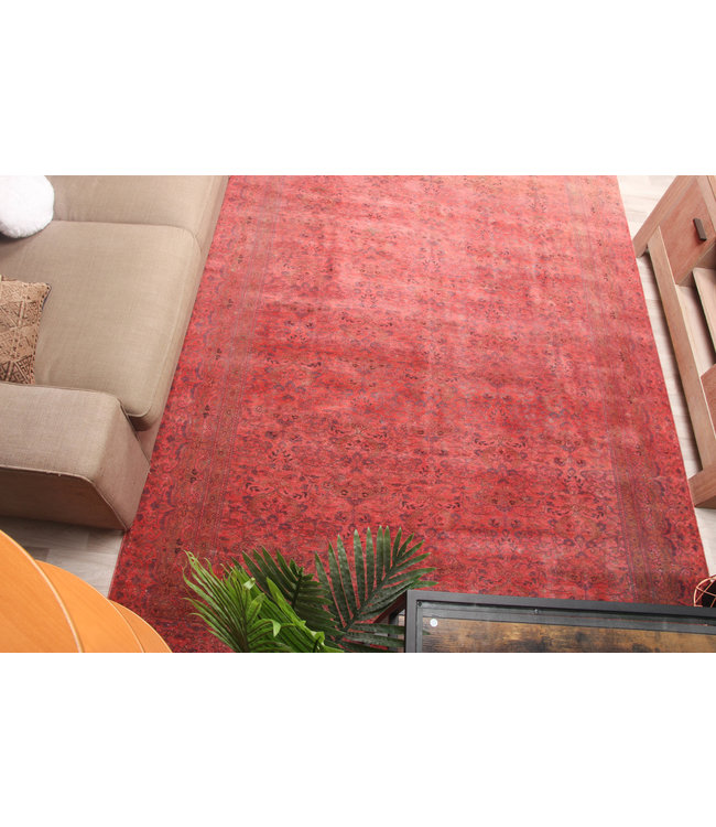 Rozek Rug 290x198 cm