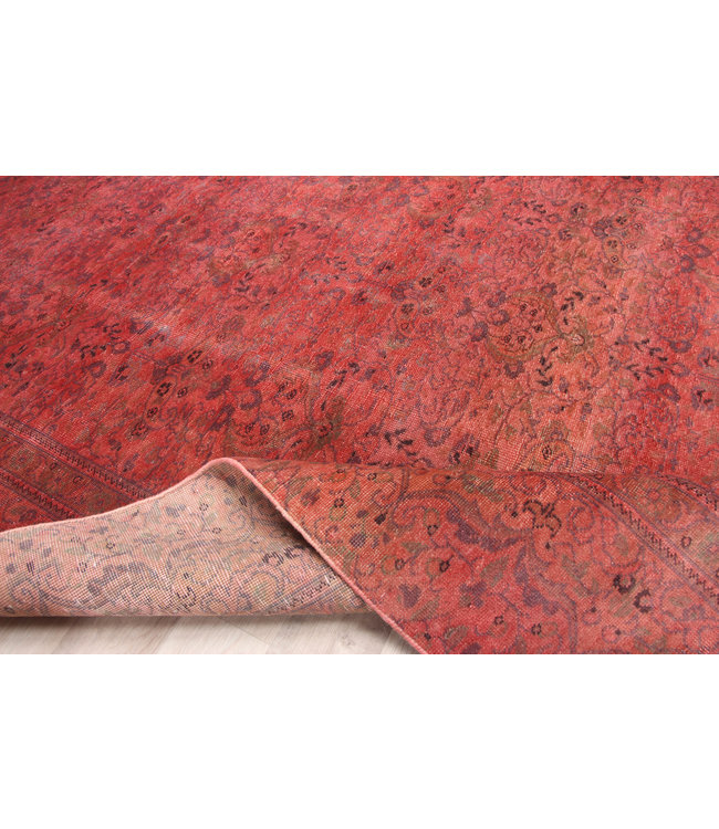 Rozek Rug 290x198 cm