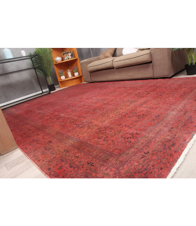 Rozek Rug 290x198 cm