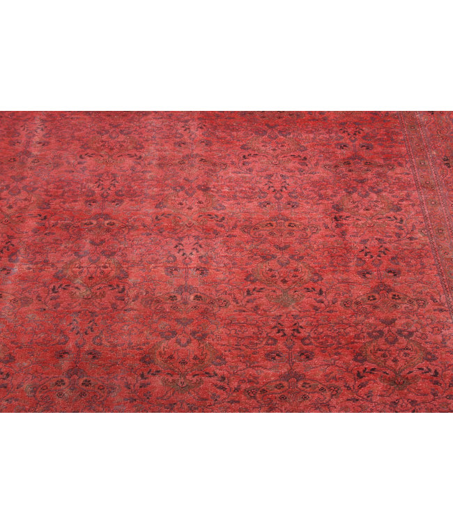 Rozek Rug 290x198 cm