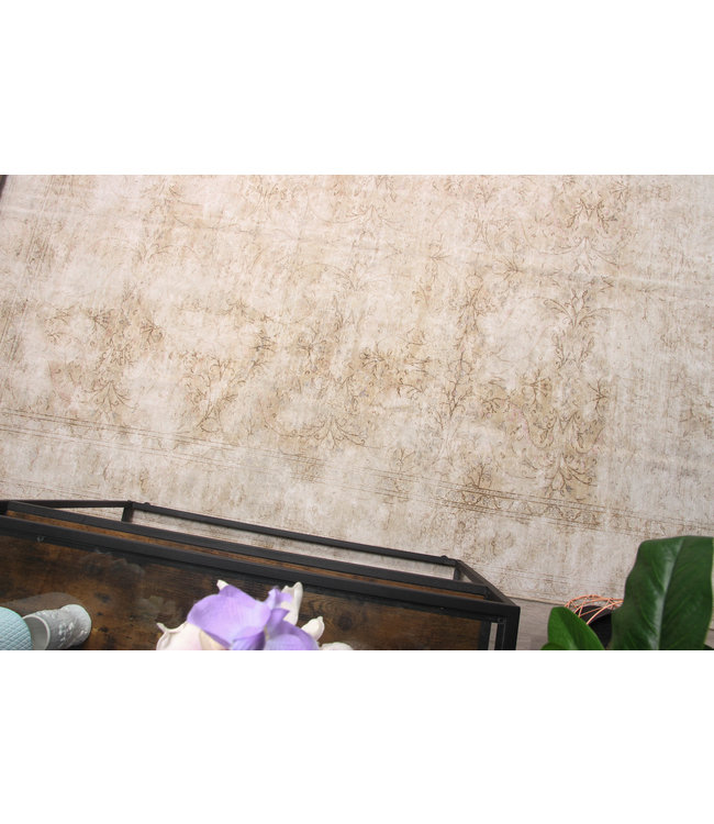 Asmaan Rug 287x197 cm