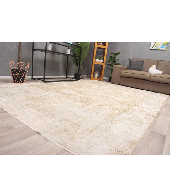 Asmaan Rug 287x197 cm