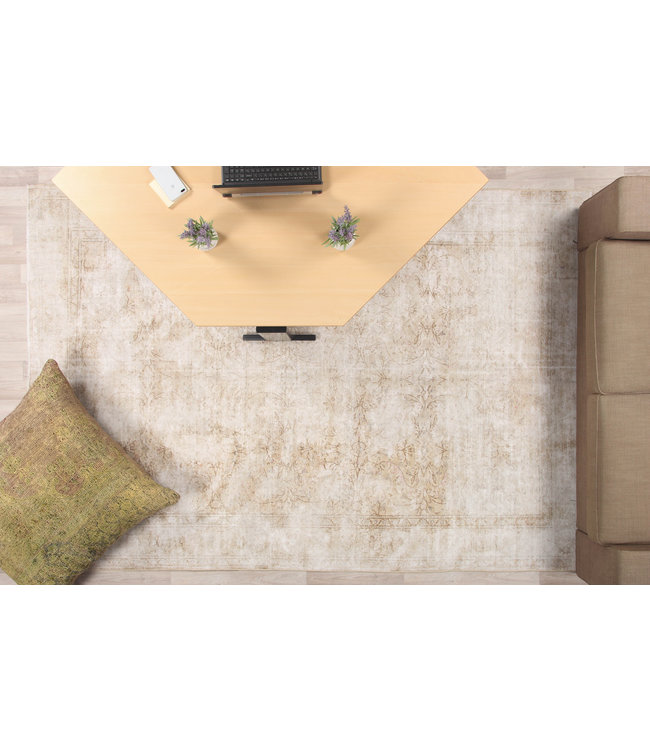 Asmaan Rug 287x197 cm