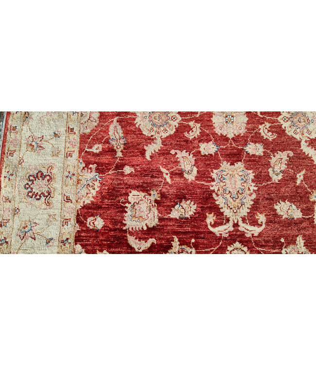 Handgeknoopt Ziegler Vloerkleed Wollen Tapijt   255x164cm