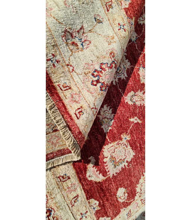 Hand Knotted Ziegler Wool  Rug Oriental Carpet  255x164cm