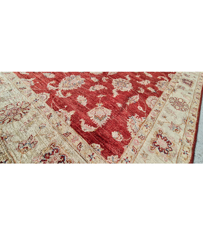 Hand Knotted Ziegler Wool  Rug Oriental Carpet  255x164cm