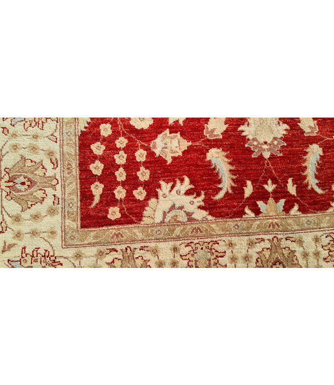 Hand Knotted Ziegler Wool   Rug Oriental Carpet  246x171cm