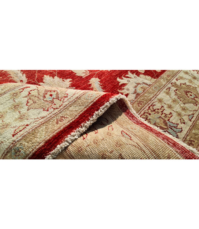 Handgeknoopt Ziegler Vloerkleed Wollen  Tapijt   246x171cm