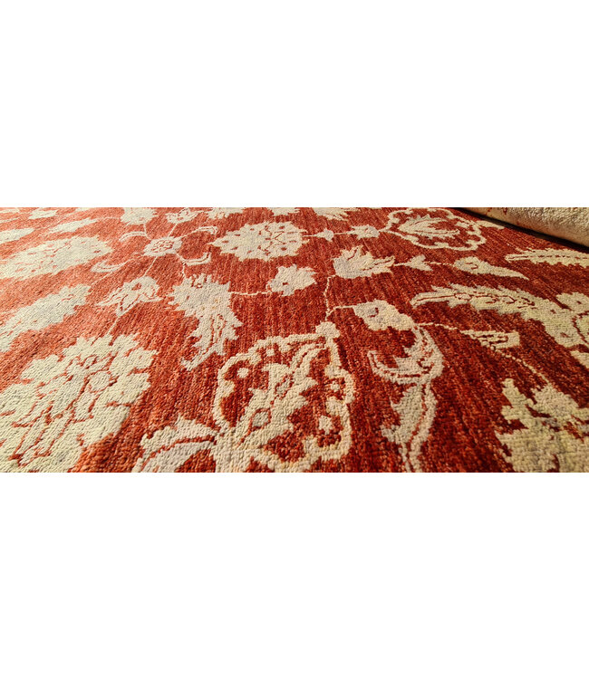 Handgeknoopt Ziegler Vloerkleed Wollen  Tapijt   249x168cm