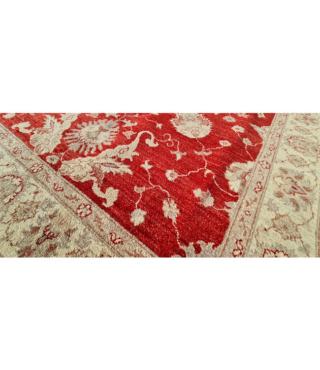 Handgeknoopt Ziegler Vloerkleed Wollen  Tapijt   245x171cm