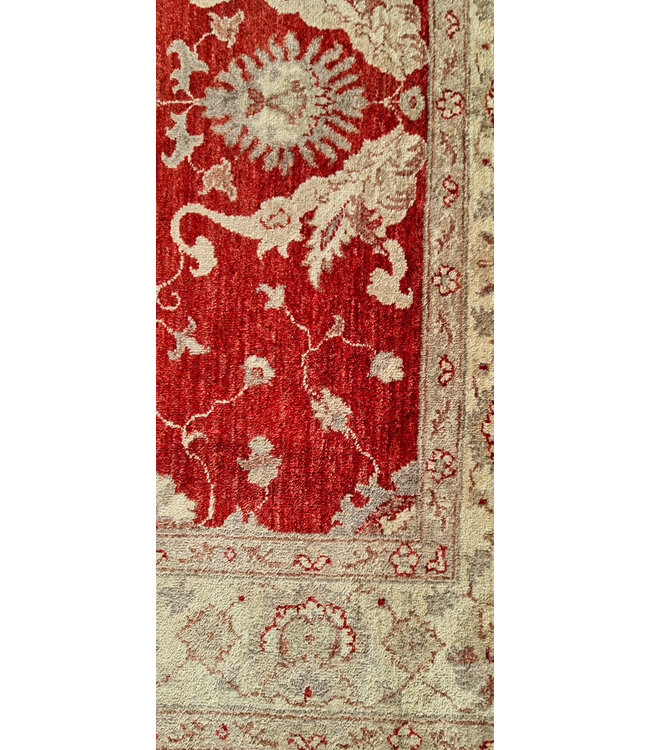 Hand Knotted Ziegler Wool   Rug Oriental Carpet  245x171cm