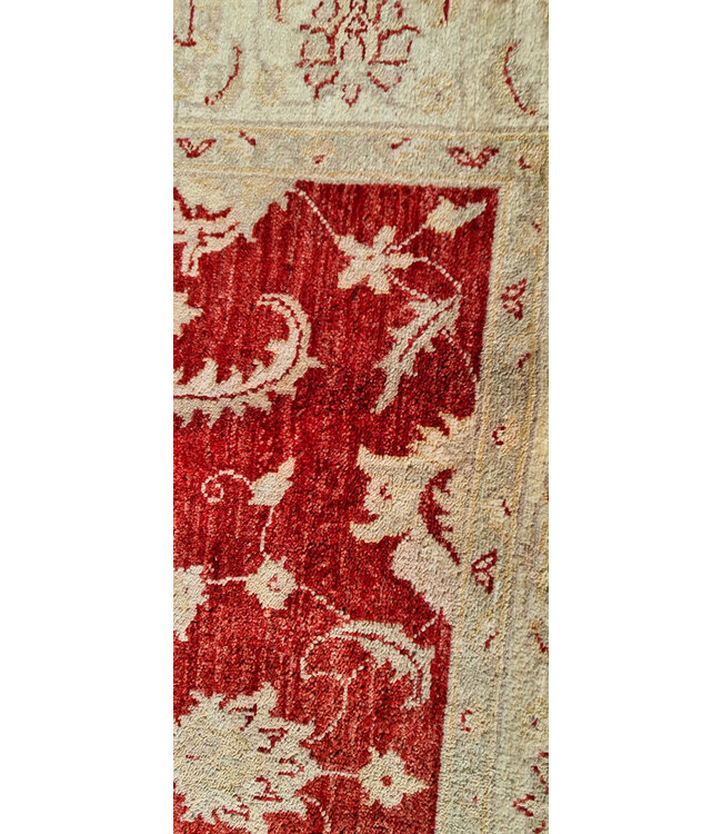 Hand Knotted Ziegler Wool   Rug Oriental Carpet   219x154cm