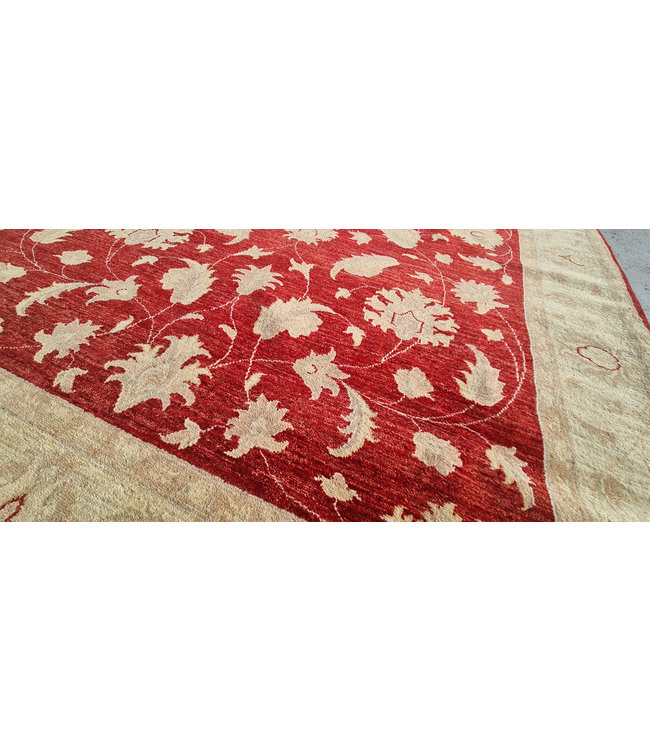 Handgeknoopt Ziegler Vloerkleed Wollen  Tapijt   244x174cm