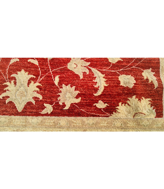 Handgeknoopt Ziegler Vloerkleed Wollen  Tapijt   244x174cm