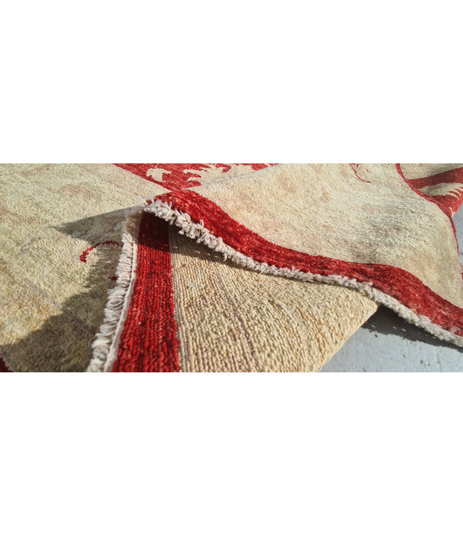 Hand Knotted Ziegler Wool   Rug Oriental Carpet  244x174cm