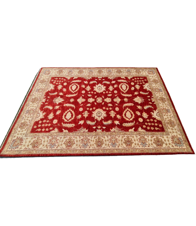 Hand Knotted Ziegler Wool   Rug Oriental Carpet  246x171cm