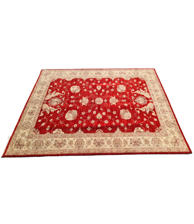 Hand Knotted Ziegler Wool   Rug Oriental Carpet   219x154cm