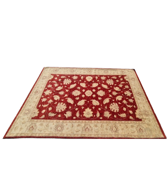 Hand Knotted Ziegler Wool   Rug Oriental Carpet  244x174cm