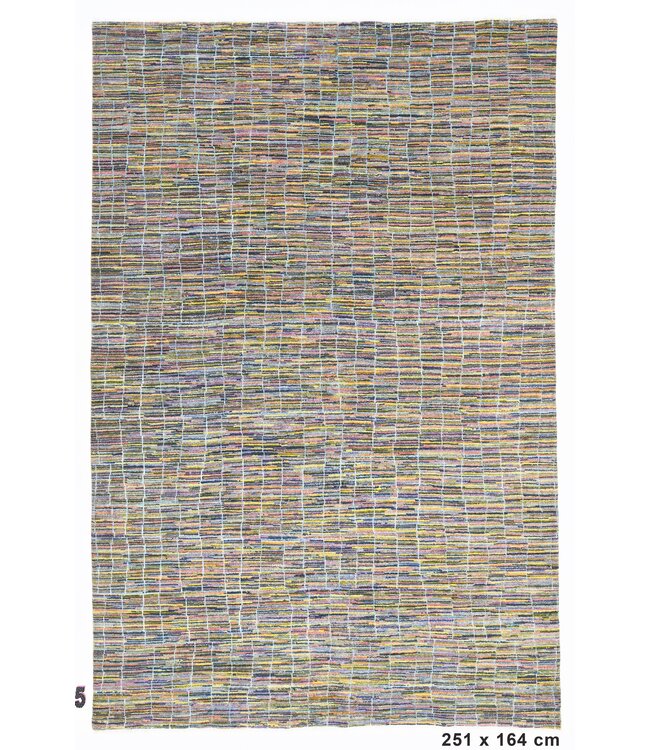 Multichromatisch Ray-tapijt 251 x 164 cm