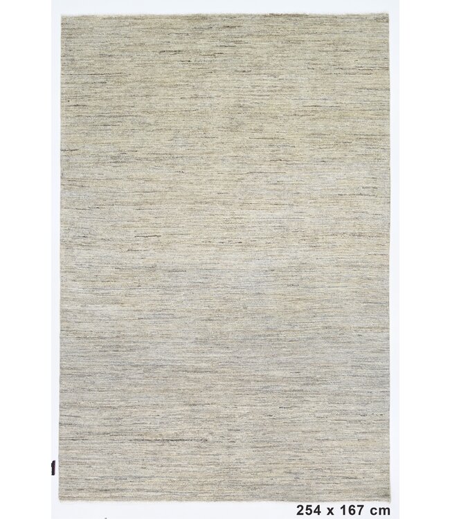 Damian Multicolor Rug 254 x 167 cm