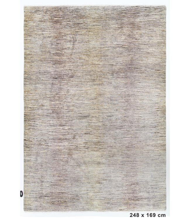 Damian Multicolor Rug 248 x 169 cm