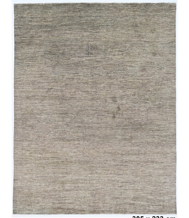 Damian Multicolor Rug 305 x 233 cm