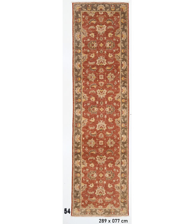 Läufer – Handgeknüpfter Wollteppich mit klassischem Blumenmuster – 289 x 77 cm