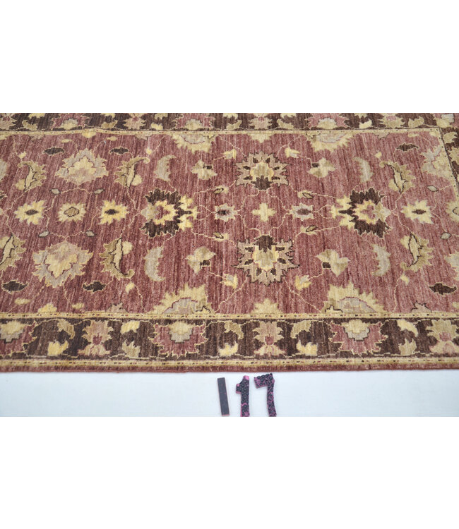 Rood Kazak Tapijt – 287 x 075 cm – Handgeknoopt Wol