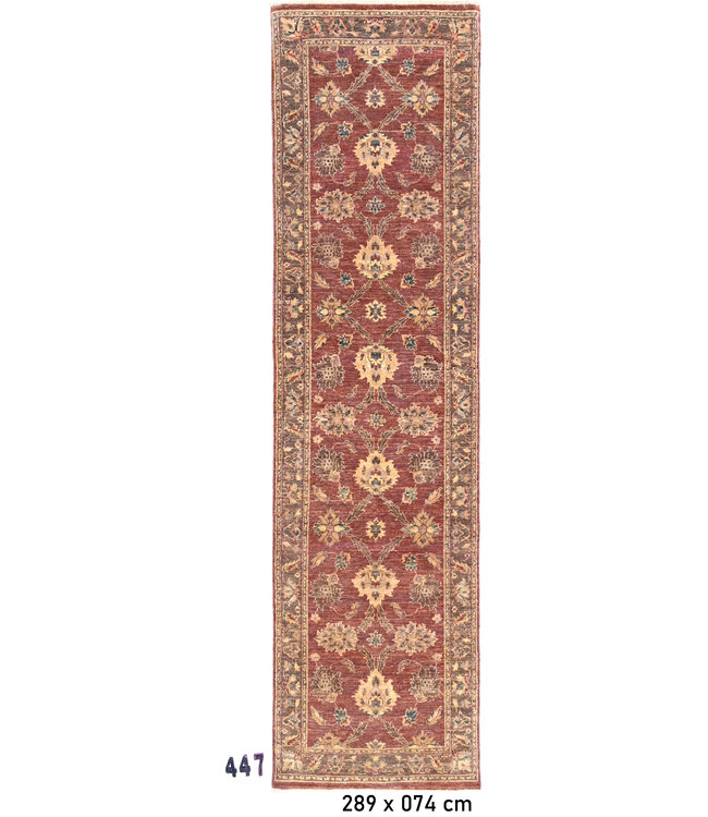Red, Pattern: Kazak, Looper Rug, Dimensions: 289 x 074 cm