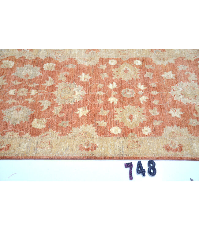 Terracotta & Light Beige Ziegler Runner – Hand-Knotted – 278 x 078 cm – Wool