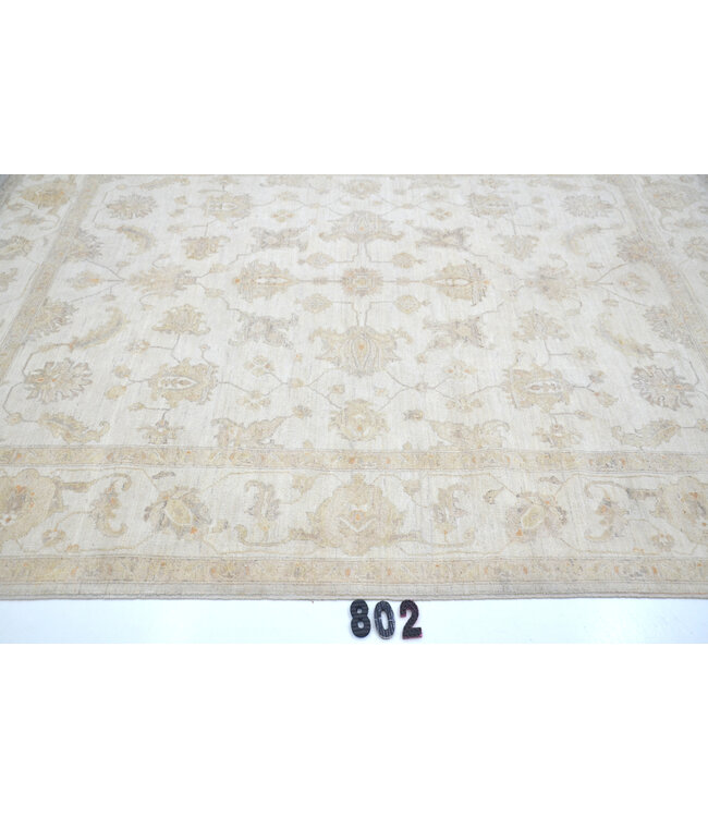 Ziegler Muster Wollteppich - Beige | 249 x 197 cm
