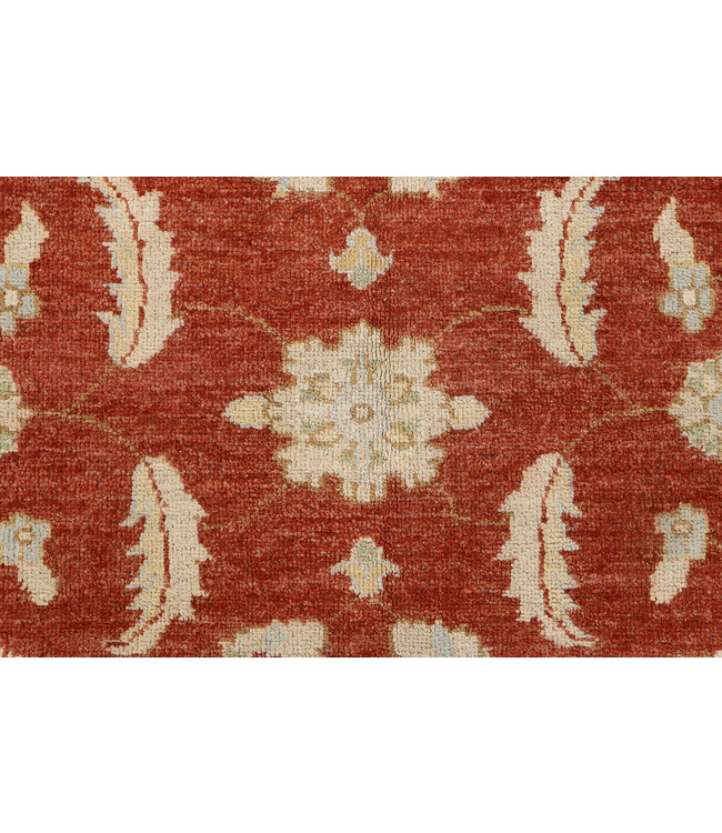 Handgeknoopt Ziegler Tapijt – 300 x 253 cm – Rustrood & Crème – Klassiek Design