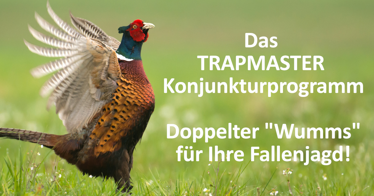 Das TRAPMASTER Konjunkturprogramm. Doppelter Wumms für Ihre Fallenjagd