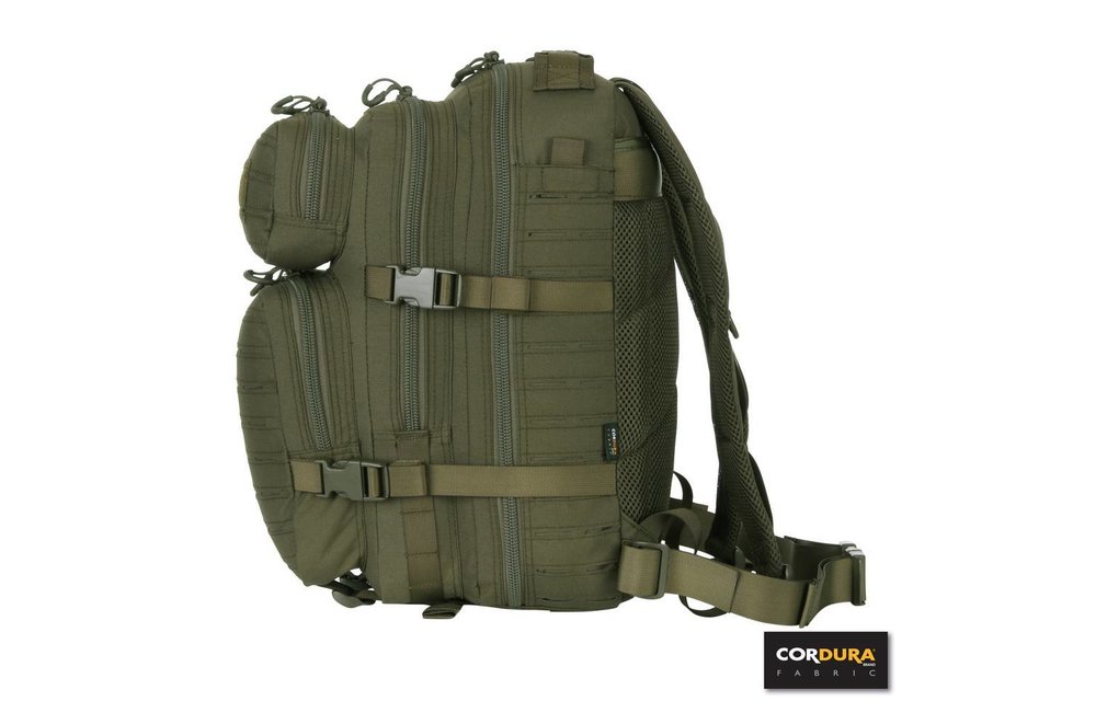 1-Day Assault Backpack LQ16173 (Olive)