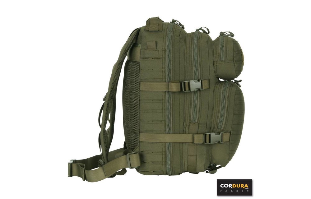1-Day Assault Backpack LQ16173 (Olive)