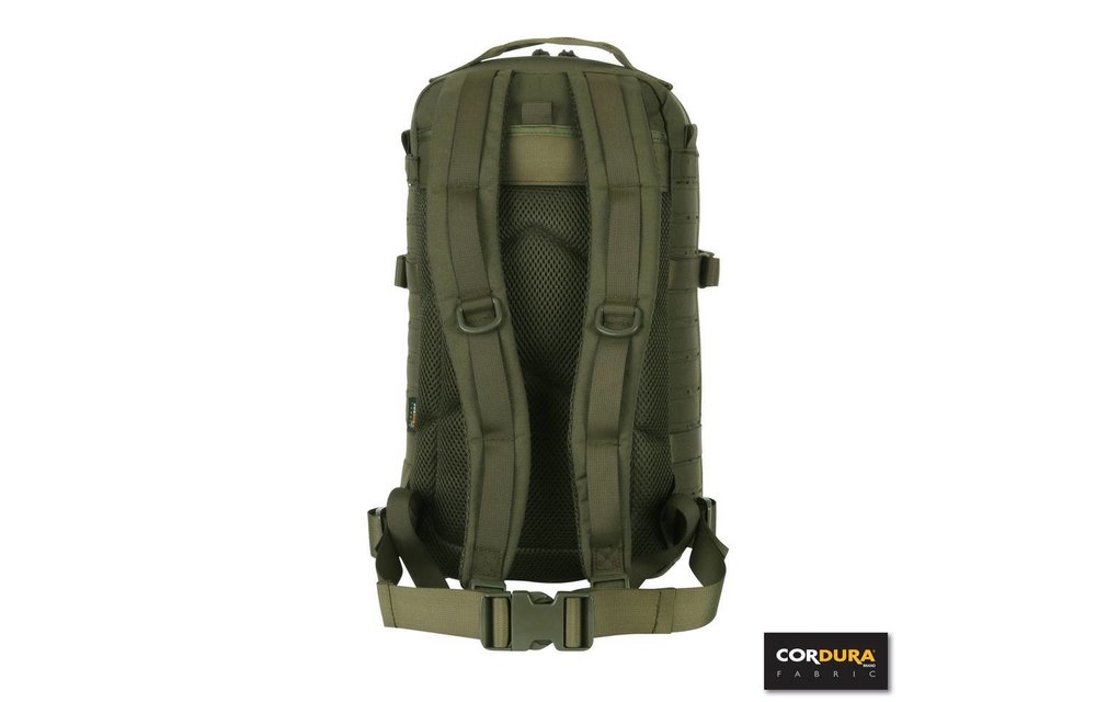 1-Day Assault Backpack LQ16173 (Olive)