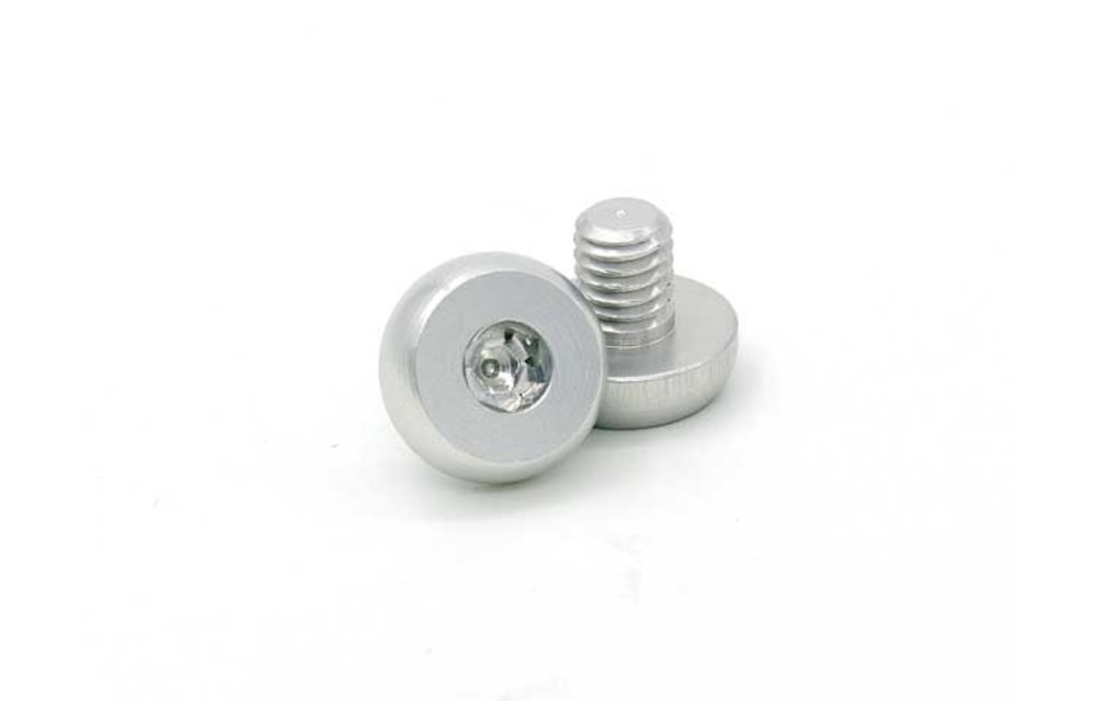 CNC Stainless Steel Grip Screws For Hi-Capa (Silver)