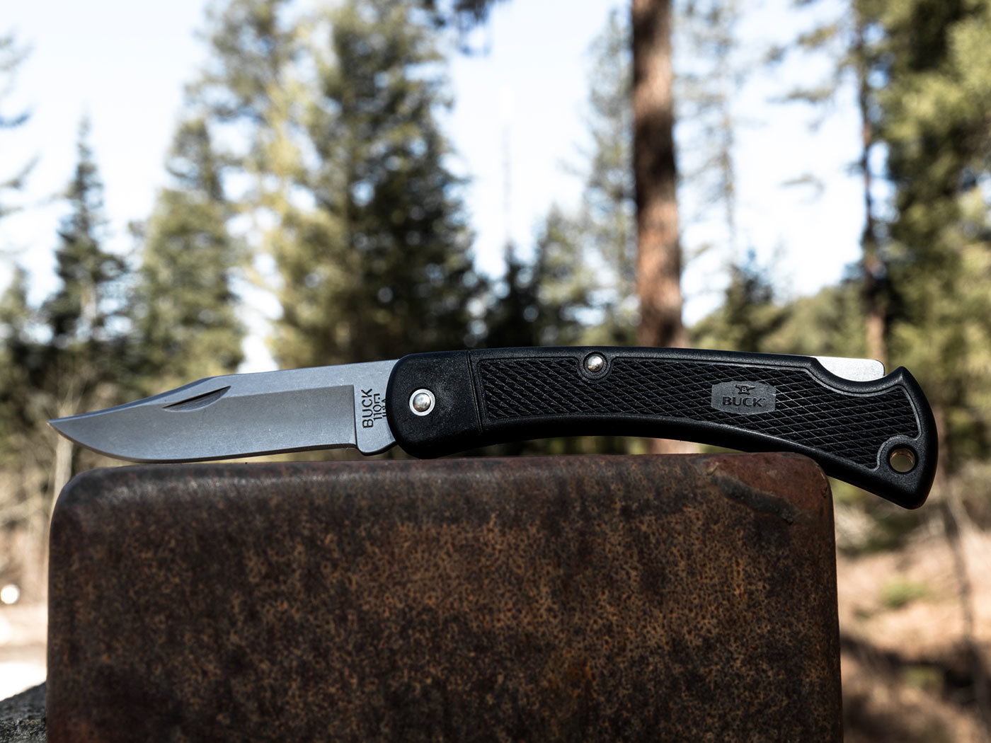 Buck 110 Folding Hunter LT (Black). Europe