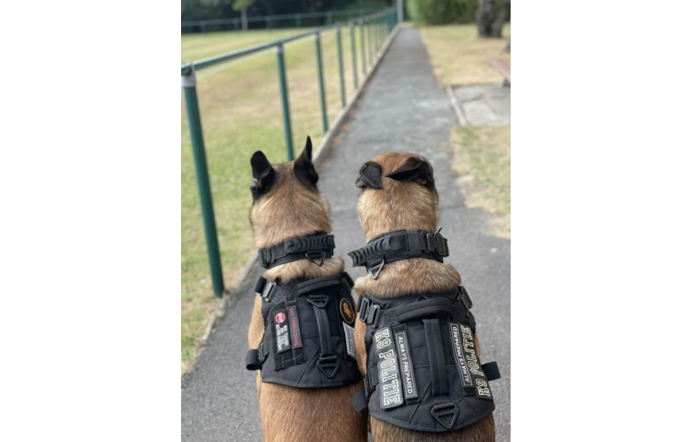 Pro K9 Dog Harness (Black)