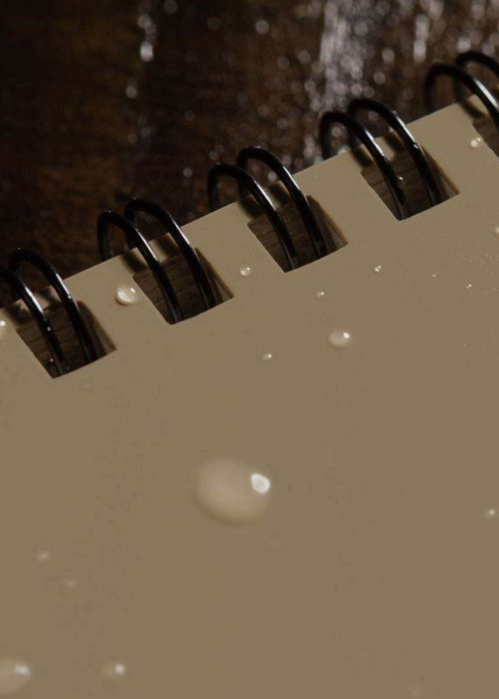 Rite In The Rain All Weather Notebook No. 746 (Black)