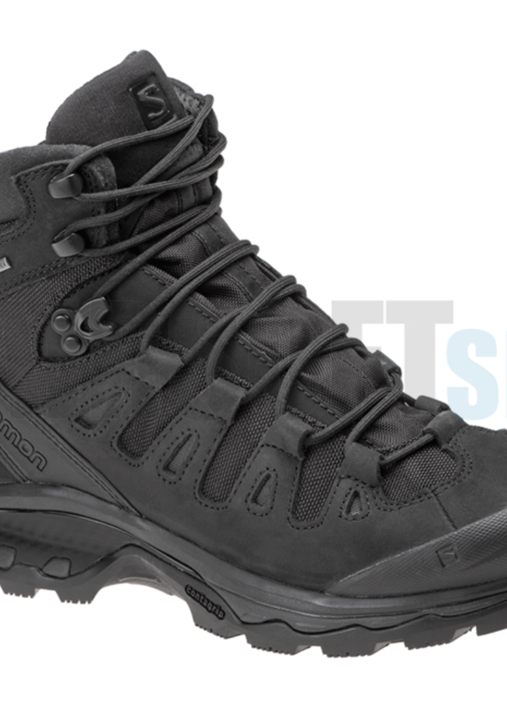 Salomon Quest 4D GTX Forces 2 EN Boots (Black)
