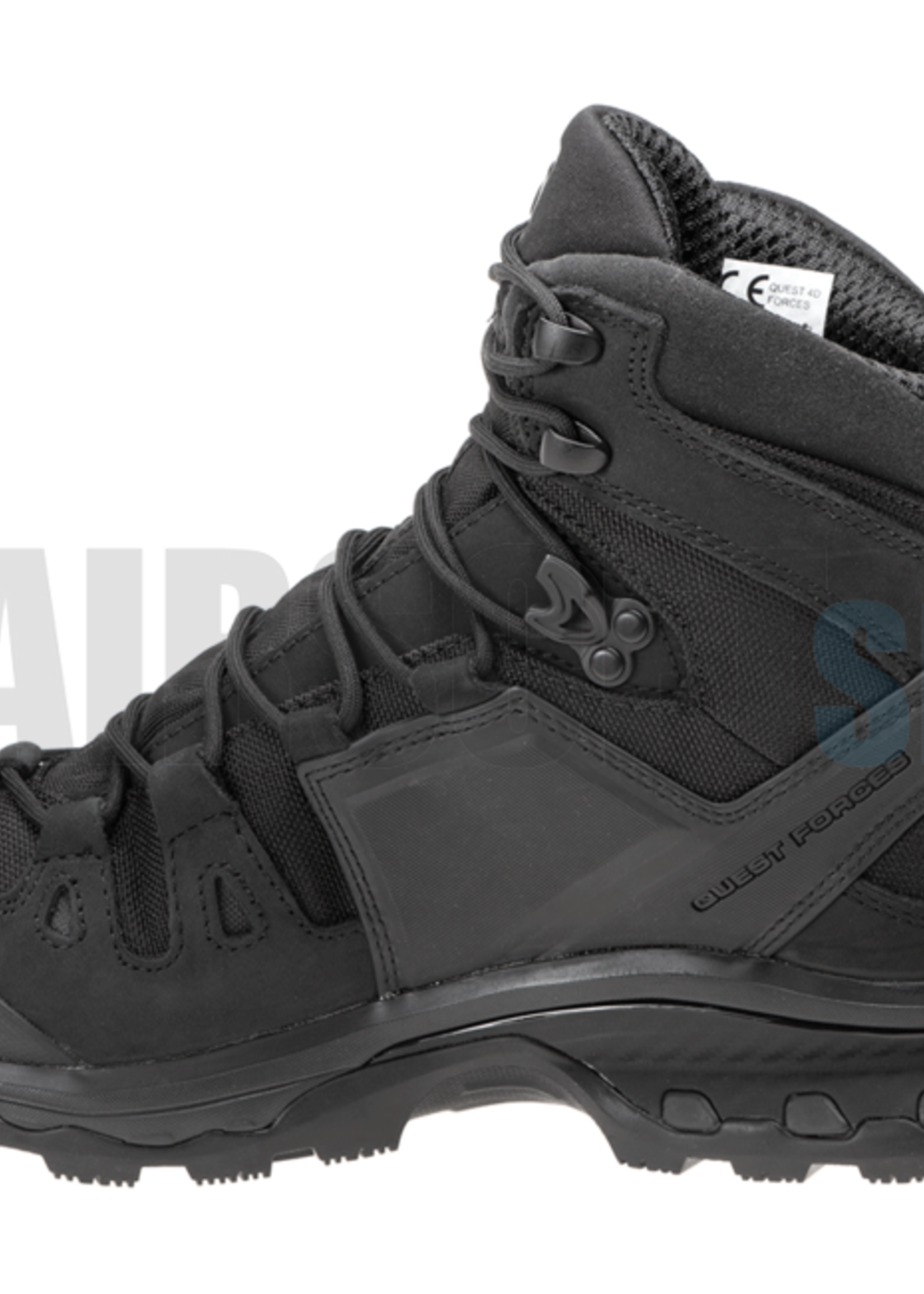 Salomon Quest 4D GTX Forces 2 EN Boots (Black)