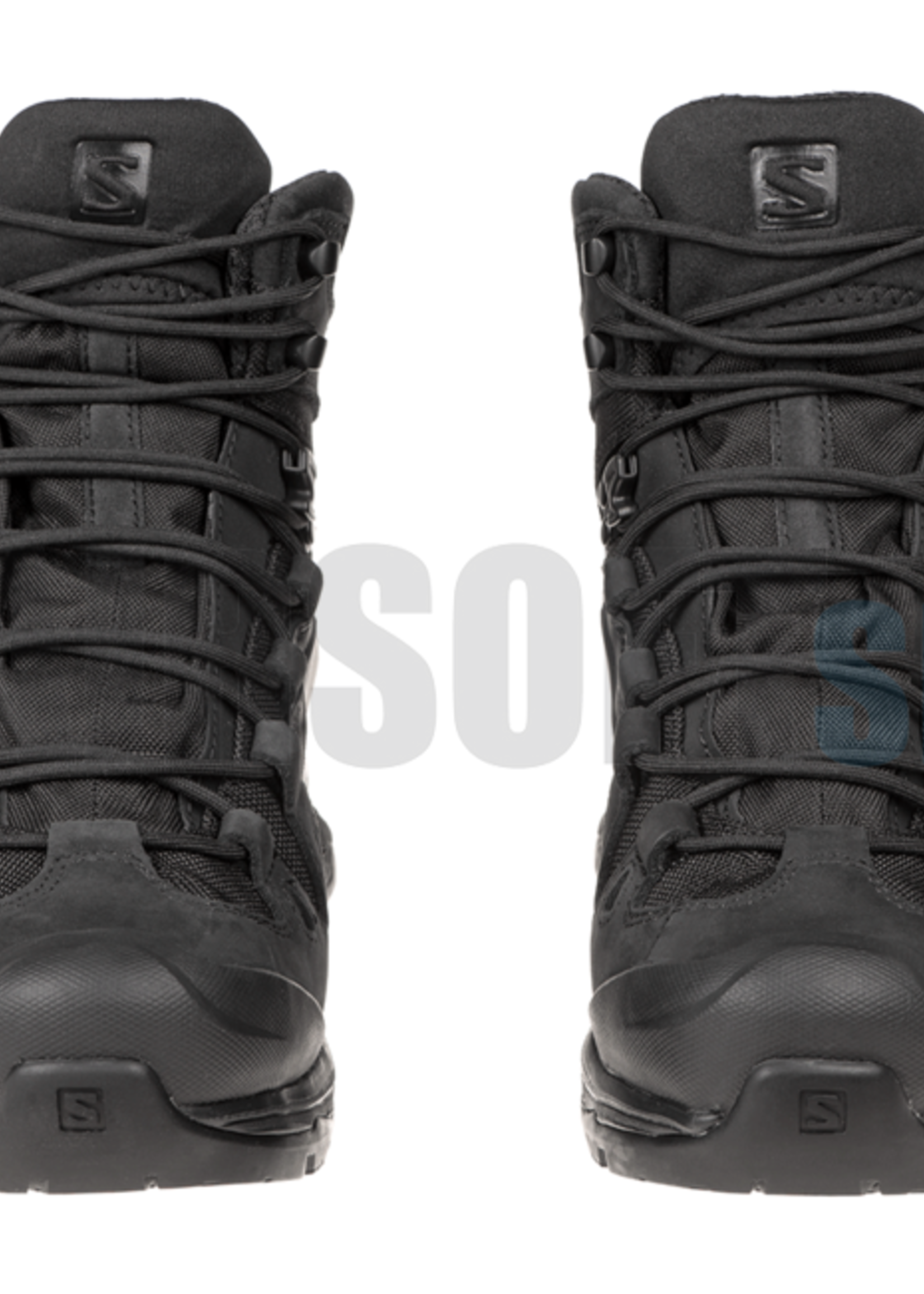 Salomon Quest 4D GTX Forces 2 EN Boots (Black)