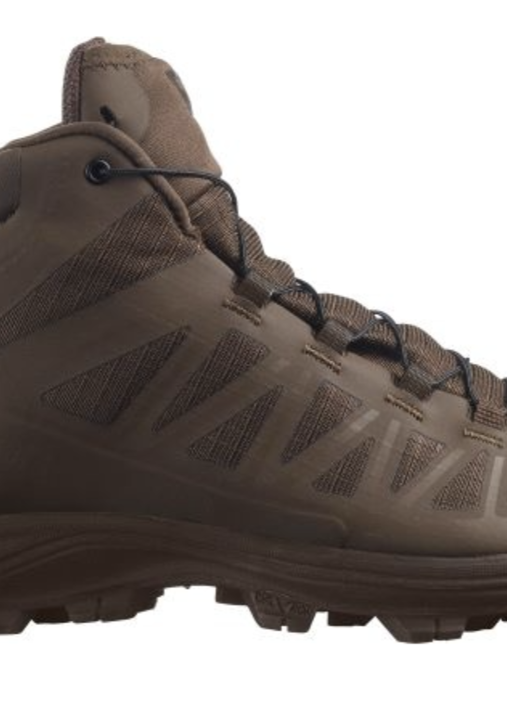 Salomon Speed Assault 2 Shoes (Earth Brown)