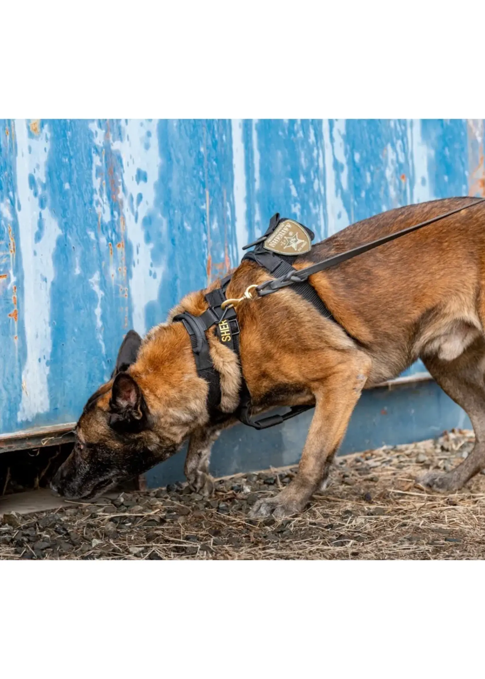 5.11 Tactical Aros K9 Dog Collar 1.5" (Black)