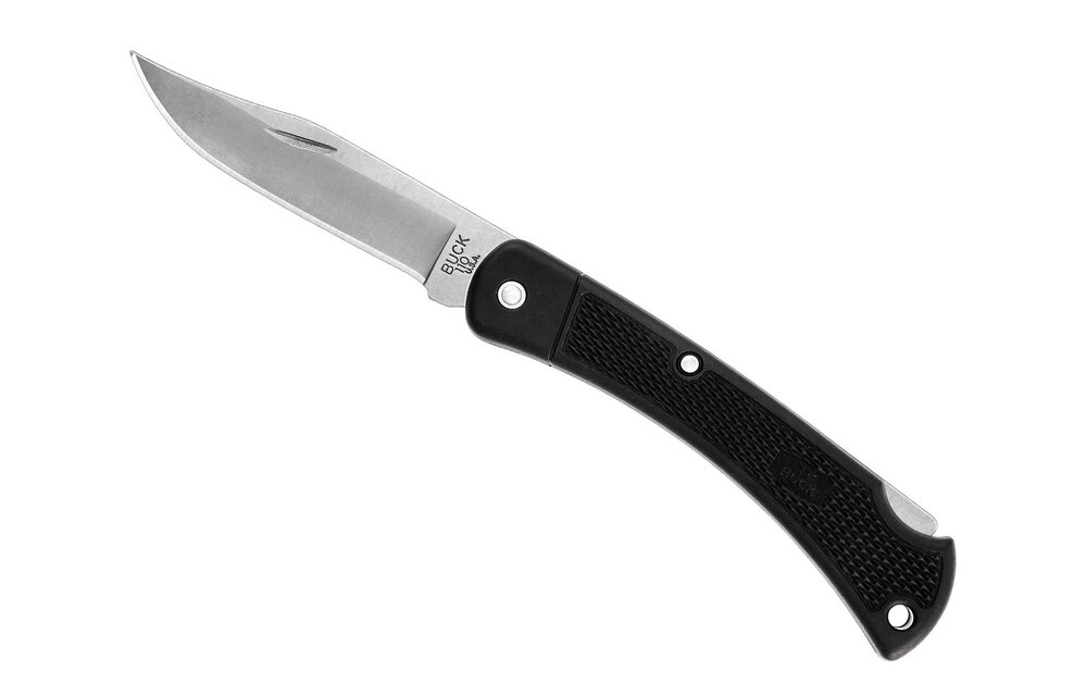 Buck 110 Folding Hunter LT (Black). Europe
