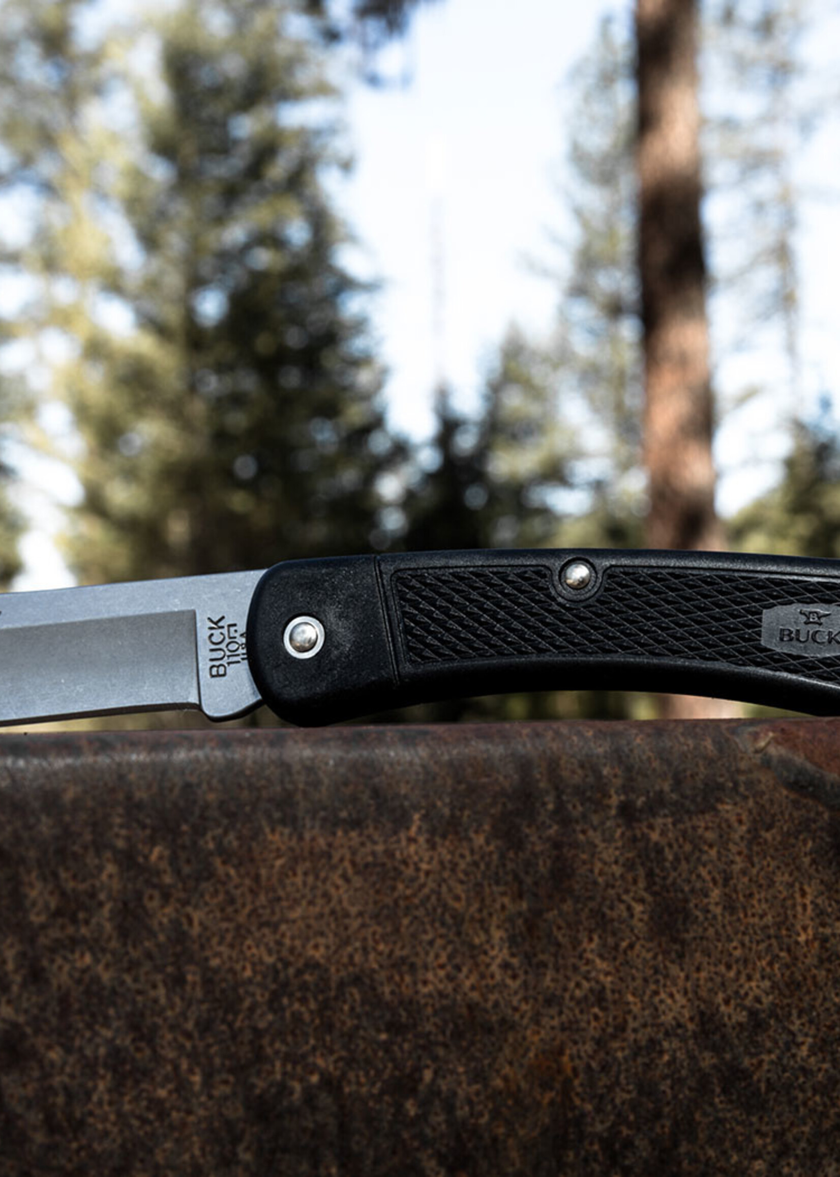 BUCK 110 Folding Hunter LT (Black)