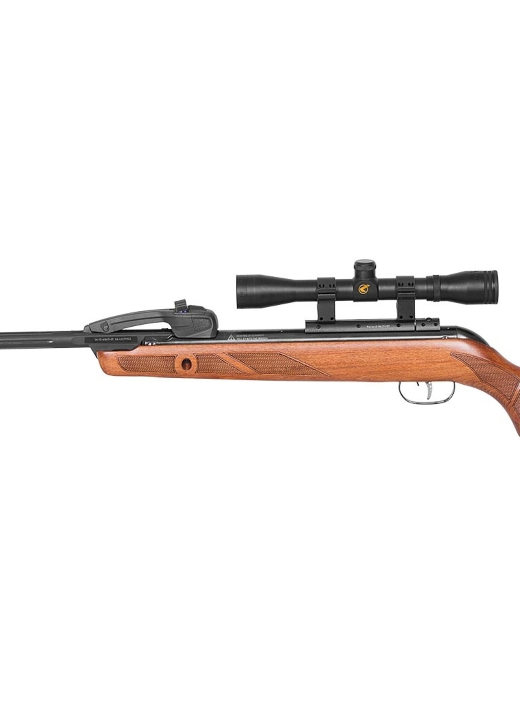 Gamo Fast Shot 10X IGT 4.5mm 24J